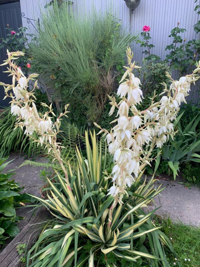 Livarot-Pays-d'Auge Dom'S Garden Bed & Breakfast エクステリア 写真