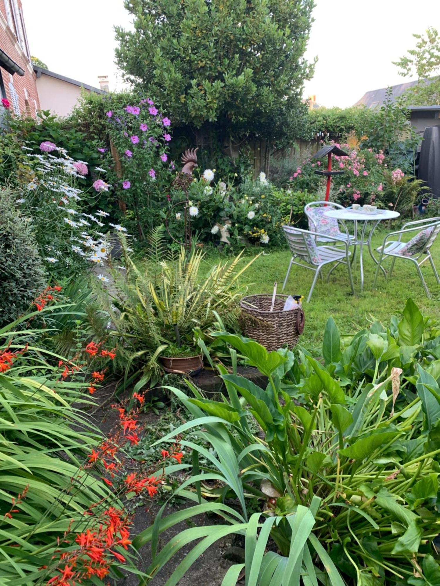 Livarot-Pays-d'Auge Dom'S Garden Bed & Breakfast エクステリア 写真
